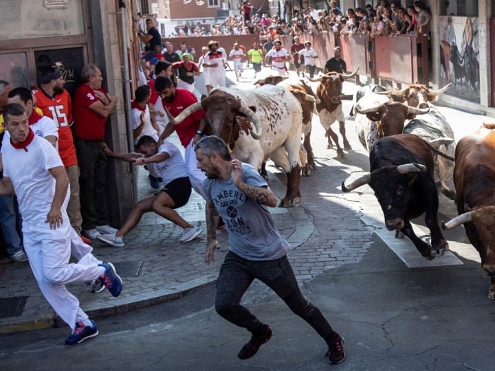 Encierros De Sanse 2019 30 08 19