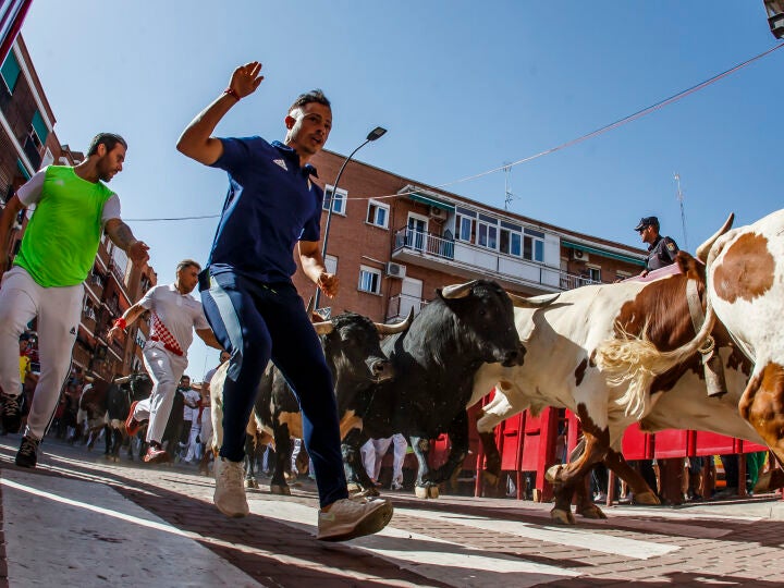 Encierros De Sanse