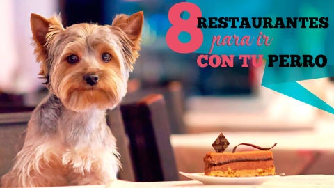 8 restaurantes increíbles para comer con tu perro