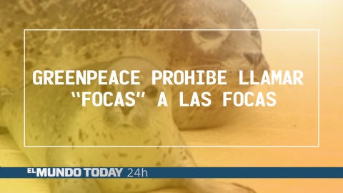 Greenpreace prohíbe llamar "focas" a las focas