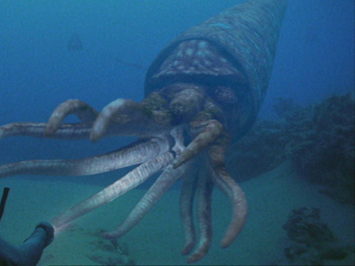 Caminando entre dinosaurios - Especial: Monstruos marinos - Mares