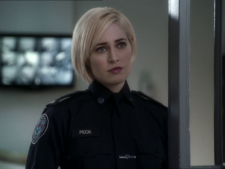 Rookie Blue Temporada 1 Castellano Online