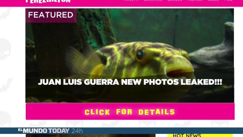 Juan Luis Guerra se opera para ser un pez