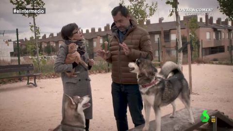 (14-11-18) De la llamada de Rajoy a recoger cacas de perro: así fue el 'Servicio Público' de Maíllo con Thais al ritmo de Clavelitos