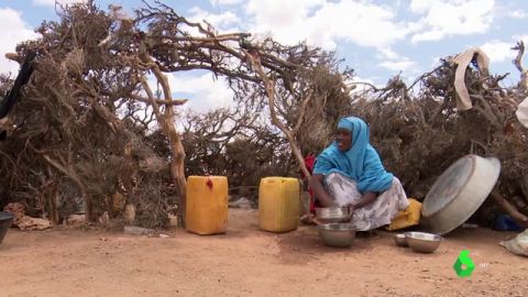 La emergencia climática devasta Somalilandia: ya ha matado a la mitad del ganado y hay 600.000 desplazados
