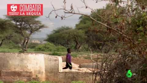 Desalinizadoras y semillas resistentes: así hace frente Somalilandia a la sequía