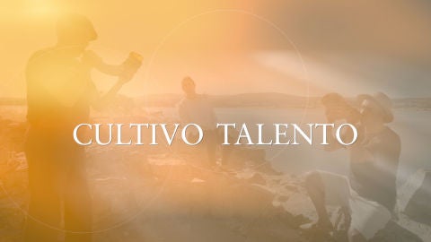 Cultivo talento