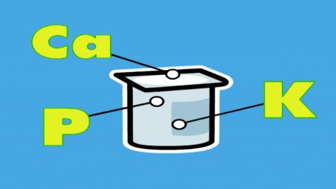 Capítulo 45: El yogur