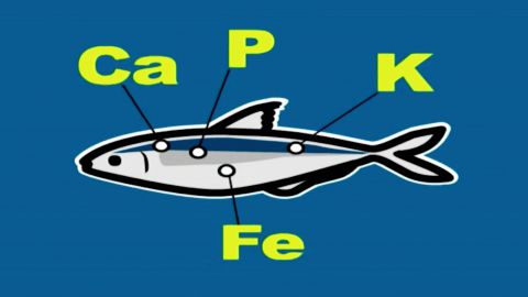 Capítulo 49: El pescado azul