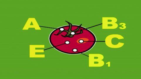 Capítulo 64: El tomate