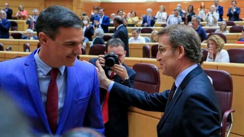 (07-06-22) Sánchez pide a Feijóo hacer oposición útil en su primer 'cara a cara' parlamentario: "Hemos llegado a acuerdos con todos excepto con ustedes y la ultraderecha"