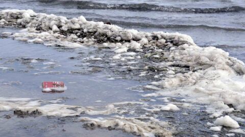 Mar Menor y otros lodos: Ruta por las aguas contaminadas