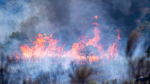 (17-07-22) España se quema: más de 14.000 hectáreas afectadas por los incendios forestales en Cáceres, Salamanca, Segovia, Lugo y Málaga