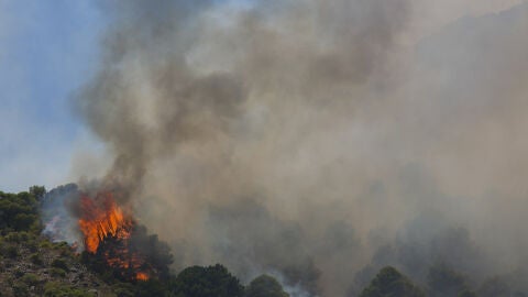 (17-07-22) Declarado un nuevo incendio en la Garganta de los Infiernos en el Valle del Jerte, Extremadura