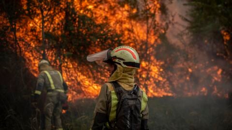 (20-07-22) La peor ola de incendios desde que hay registros: España, a punto de superar las 189.376 hectáreas de 2012