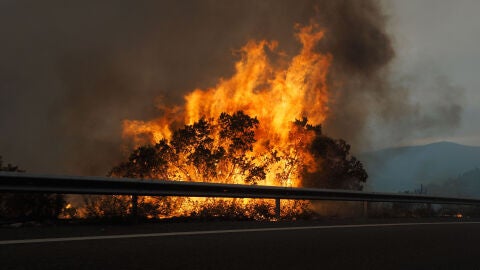 (19-07-22) El fin de la ola de calor marca la lucha contra los incendios en España: ya hay más de 60.000 hectáreas calcinadas