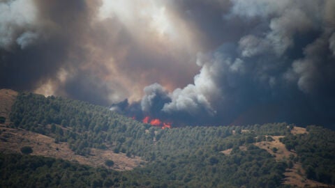 (20-07-22) La pesadilla del fuego llega a Zaragoza: el viento alimenta las llamas y varias localidades tienen que ser desalojadas