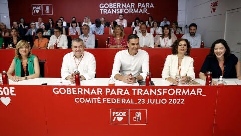 (23-07-22) El PSOE celebra su Comité Federal para ratificar a la nueva dirección y afrontar el ciclo electoral frente al PP: así queda el partido