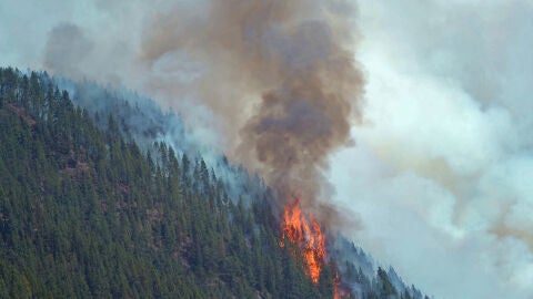 (24-07-22) El incendio de Tenerife sigue activo con avance lento y afecta más de 2.400 hectáreas