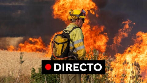 (25-07-22) Incendios en España hoy, en directo: Última hora de Zamora, Burgos, Canarias y Galicia