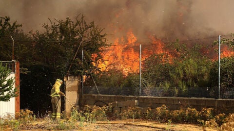 (25-07-22) Los incendios de Vegalatrave, Cebreros y Quintanilla de Coco pudieron ser intencionados