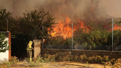 (25-07-22) Los incendios de Vegalatrave, Cebreros y Quintanilla de Coco pudieron ser intencionados
