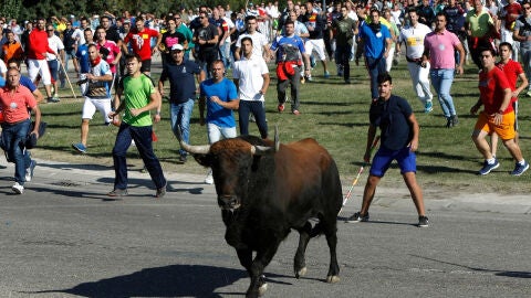 (08-09-22) El Gobierno pide a la Fiscalía que no se celebre el Toro de la Vega en Tordesillas por "maltrato animal"