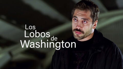 Los Lobos de Washington