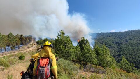 (19-05-23) El incendio de Pinofranqueado permanece fuera de control y obliga a evacuar a unos 700 vecinos