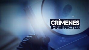 CRIMENES IMPERFECTOS