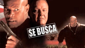 Se busca Se busca