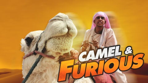 Camel & Furious