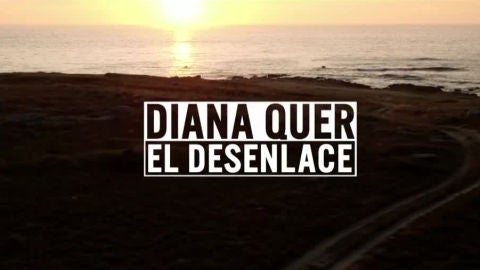 Diana Quer: El desenlace