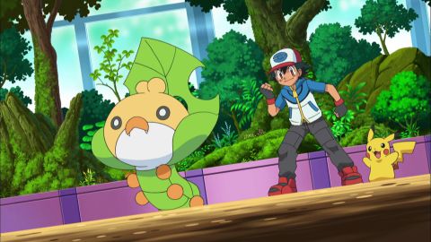 Capítulo 23: Combatiendo por amor a los Pokémon de tipo Bicho