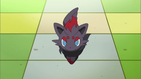 Capítulo 38: ¡Momento Película! Zorua en La leyenda del Caballero Pokémon