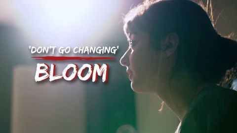 Bloom - Don't Go Changing | Más de 100 mentiras