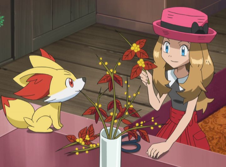 Pokemon Staffel 17 Folge 33