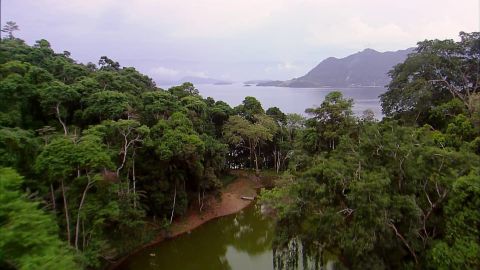 Avenida Brasil Capitulo 54