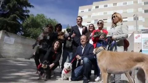 Ciudadanos propone que las mascotas puedan visitar a sus dueños en los hospitales de Madrid