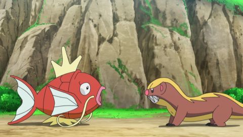 Capítulo 21: ¿¡Un nuevo programa!? La melodía de un pequeño Magikarp