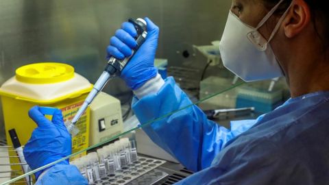 Lograr la inmunidad al COVID-19: el trabajo contrarreloj de los investigadores