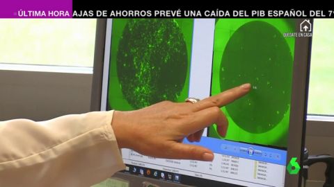 ¿Evita el tabaco que te contagies por coronavirus?: así es el polémico estudio francés que afirma que la nicotina mata al COVID-19