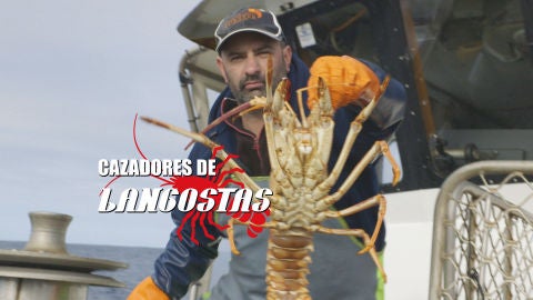 Cazadores de langostas