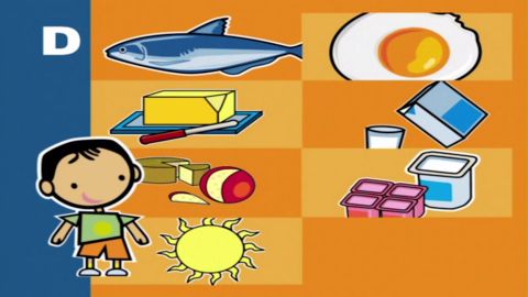 Capítulo 11: La Vitamina D