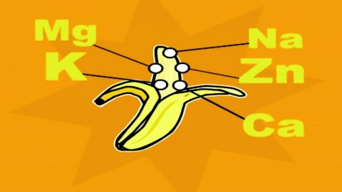 Capítulo 34: El Plátano