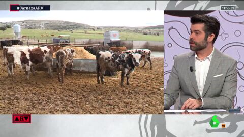 (10-01-22) ¿En qué se diferencian las macrogranjas de la ganadería extensiva? El nutricionista Luis Alberto Zamora nos da las claves