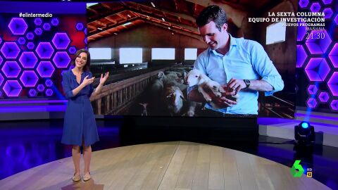(13-01-22) El divertido análisis de Cristina Gallego sobre el amor de Pablo Casado por el campo: "Las cabras le rehúyen como Ayuso"
