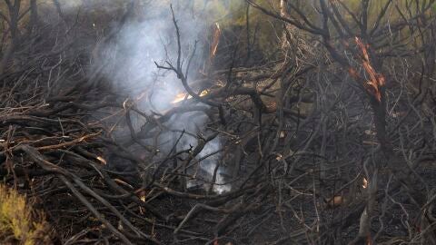 (14-07-22) Incendio entre Cáceres y Salamanca: más evacuaciones y 4.000 hectáreas quemadas