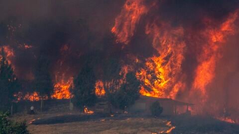 (04-08-22) Las llamas avanzan en Verín: vecinos desalojados y más de 450 hectáreas calcinadas