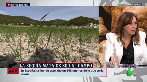 (11-05-23) Angélica Rubio, sobre el futuro de la agricultura en España: "Habrá que hacer muchos cambios"